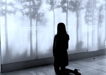 Trzech tenorów fotografii – zapisali życie w całej krasie