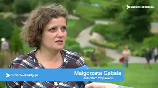 Miejsce wyjątkowe, aby miło odpocząć – zapraszamy na spacer po Arboretum Wojsławice [VIDEO]