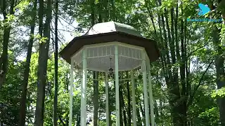 O każdej porze roku można tu głęboko odetchnąć – zobaczmy się w Polanicy-Zdroju [VIDEO]