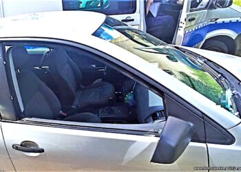 Jazda na psychotropach – i pies w samochodzie