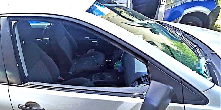 Jazda na psychotropach – i pies w samochodzie