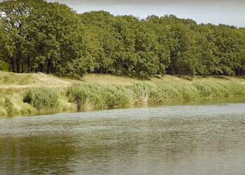 Odra jest skażona! – komunikat Zarządu Województwa Dolnośląskiego