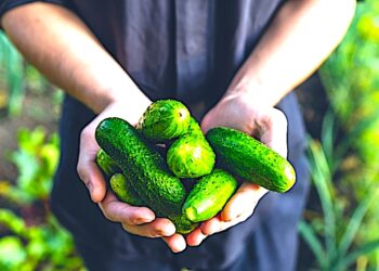 „Sezon ogórkowy” nie musi być nudny