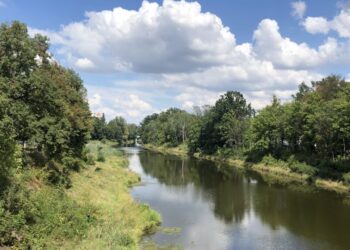 Stan Odry się poprawia. Poznaj szczegóły badań Głównego Inspektoratu Ochrony Środowiska