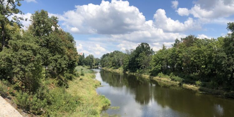 Stan Odry się poprawia. Poznaj szczegóły badań Głównego Inspektoratu Ochrony Środowiska
