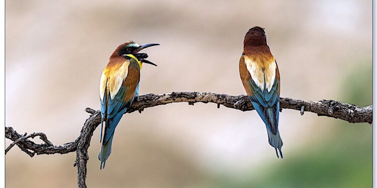 Święto fotografii – X Ogólnopolski Przegląd Diaporam i Fotografii Cyfrowych