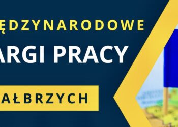Praca dla informatyków i osób z niepełnosprawnością – oferta Zakładu Ubezpieczeń Społecznych
