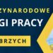 Praca dla informatyków i osób z niepełnosprawnością – oferta Zakładu Ubezpieczeń Społecznych