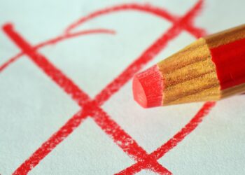 Wybory uzupełniające do Rady Sołeckiej Sołectwa Nowy Dwór