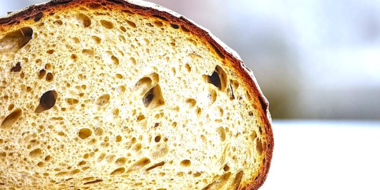 Zakwas – niezbędny składnik smacznego i zdrowego chleba [VIDEO]