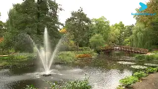 Darów jesieni nikt nie zliczy – cieszmy wzrok i odpoczywajmy [VIDEO]