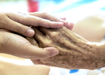 Wyszukiwarka pomoże znaleźć pomoc u schyłku życia [VIDEO]