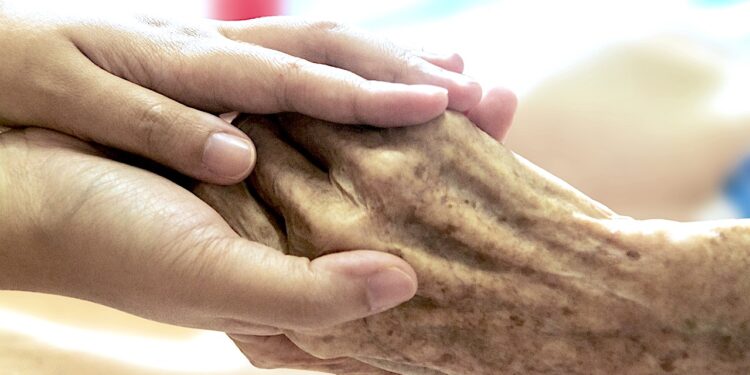 Wyszukiwarka pomoże znaleźć pomoc u schyłku życia [VIDEO]