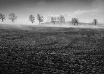 Finał cyklu „Debiuty” – zaproszenie dla miłośników fotografii krajoznawczej