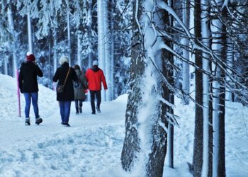 Ferie zimowe na Dolnym Śląsku? Wrocław i spółka oferują mnóstwo atrakcji!