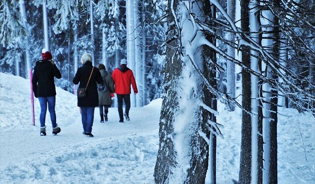 Ferie zimowe na Dolnym Śląsku? Wrocław i spółka oferują mnóstwo atrakcji!