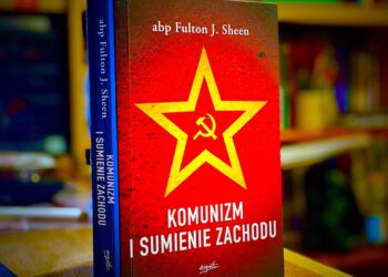 Wolność to co innego niż wolna myśl i coś więcej niż myśl narzucona. Jesteśmy wolni – jeszcze czy już?