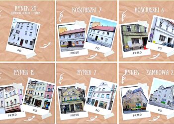 Ziębickie metamorfozy 2022