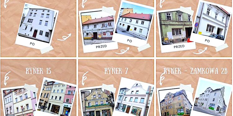 Ziębickie metamorfozy 2022