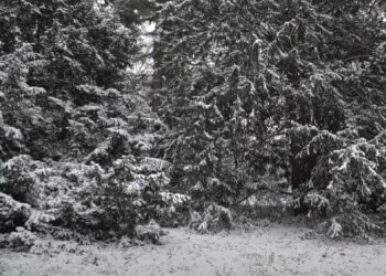 Zima atakuje! IMGW ostrzega przed intensywnymi opadami