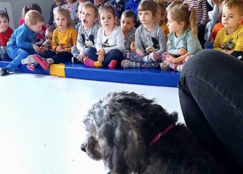 Zwierzęta uczą empatii