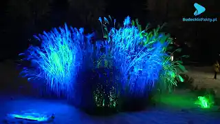 Świątecznie kolorowo – zapraszamy na spacer po Światłogrodzie [VIDEO]