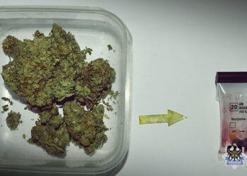 WAŁBRZYCH: Diler narkotykowy zatrzymany wraz ze swoją klientką!