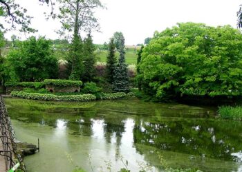 Arboretum Wojsławice, czyli najróżnorodniejsza roślinność na Dolnym Śląsku. Efektownie wygląda nawet zimą