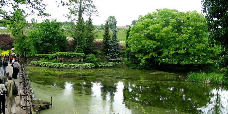 Arboretum Wojsławice, czyli najróżnorodniejsza roślinność na Dolnym Śląsku. Efektownie wygląda nawet zimą