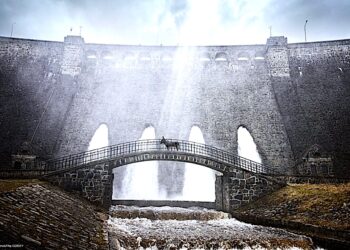 IO z Zagórza Śląskiego przez Cannes do Los Angeles