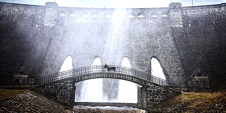 IO z Zagórza Śląskiego przez Cannes do Los Angeles