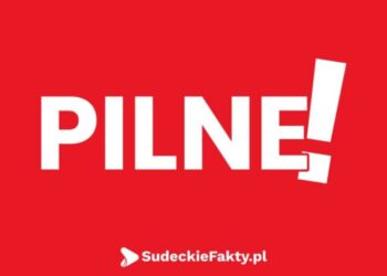 Śmiertelny wypadek pod Dzierżoniowem. Trasa jest zablokowana!