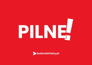 PILNE
