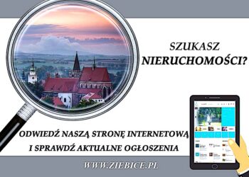 Postępowania dotyczące nieruchomości Gminy Ziębice