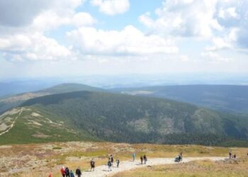 Poznaliśmy patronów 2023 roku