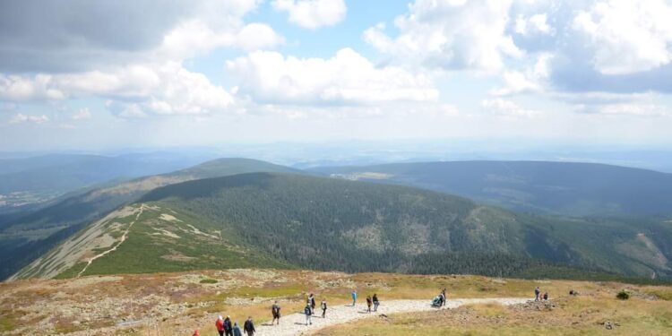 Poznaliśmy patronów 2023 roku