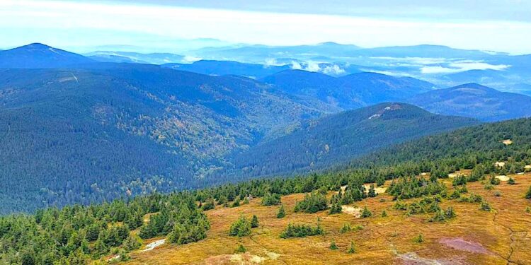 „Śnieżnik Kłodzki” oraz „Jaskinia Niedźwiedzia” – oba rezerwaty przyrody z większym obszarem ochrony