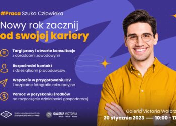 Strefowe Targi Pracy