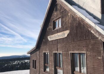 Szopa, drwale, konflikt czesko-niemiecki