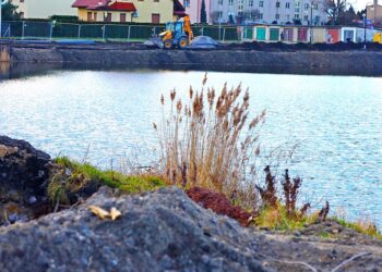 Zazieleni się w Żarowie