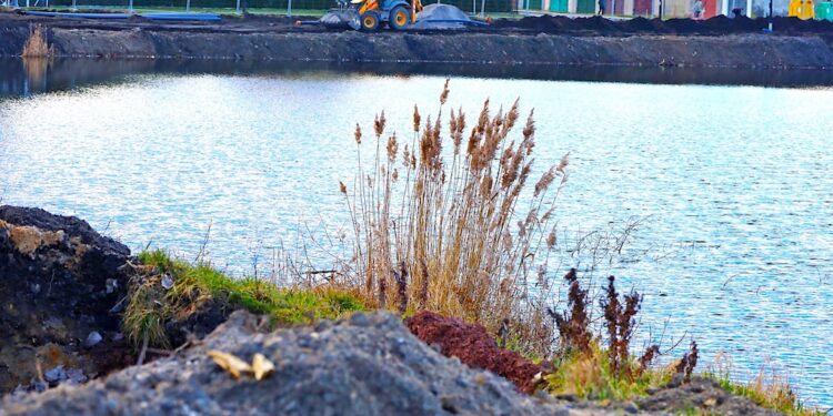 Zazieleni się w Żarowie