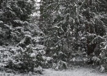 WAŁBRZYCH: Zakaz wstępu do lasów. Do kiedy obowiązuje?