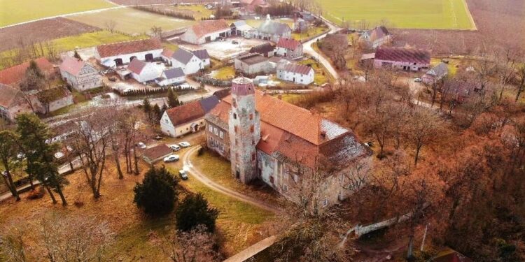 A może pomysł na pałac