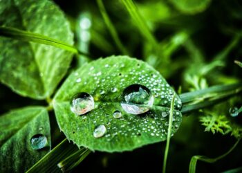 Jeden dzień dwie wystawy