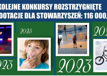 Kolejne stowarzyszenia otrzymały dotacje na realizację zadań publicznych