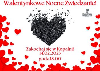 Koncertowanie zwiedzanie edukowanie