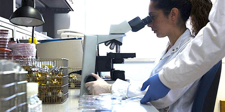 Rusza pierwszy konkurs