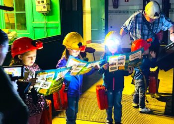 Sówki rodzinne i nocne zwiedzanie