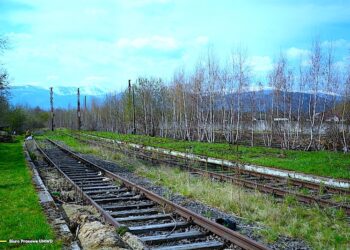 Kolejowe połączenie od Piławy Górnej
