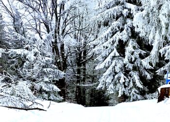 Szusuj po Górach Sowich